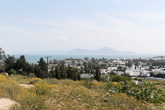Tunis, Carthage-162